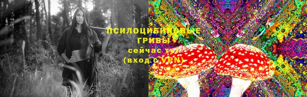 мдма Богданович